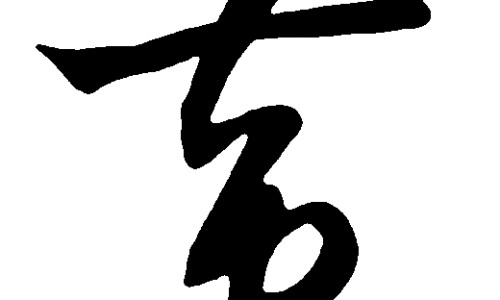 中药桑皮功效与作用及禁忌是什么-中药桑皮的功效和作用-桑皮功效与主治,中国中药桑皮功效与作用及禁忌网站