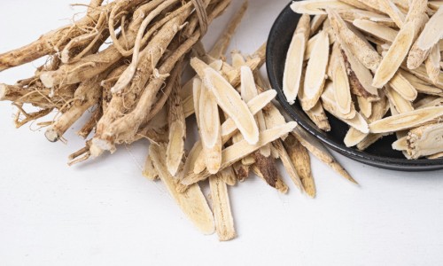 中药桑皮功效与作用及禁忌症-中药桑皮的功效和作用-桑皮功效与主治,中国中药桑皮功效与作用及禁忌网站