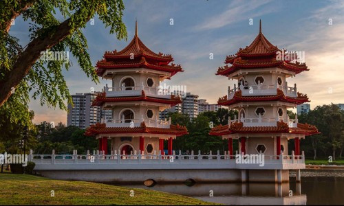 桑皮的药用价值-中药桑皮的功效和作用-桑皮功效与主治,中国中药桑皮功效与作用及禁忌网站